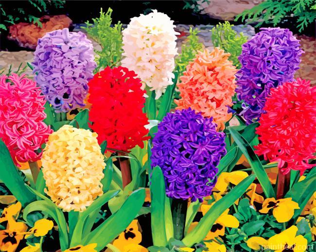 Aesthetic Hyacinth Flowers Painting By Numbers Kits