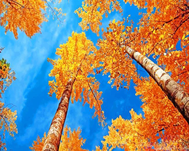 Autumn Trees Painting By Numbers Kits