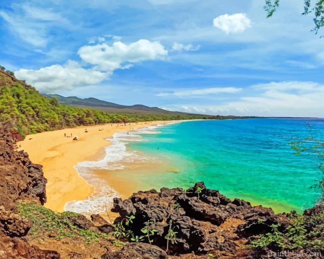 Beach Hawaii Painting By Numbers Kits