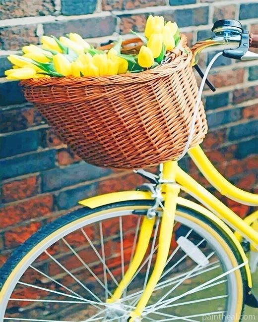 Tulips On Bike Basket Painting By Numbers Kits