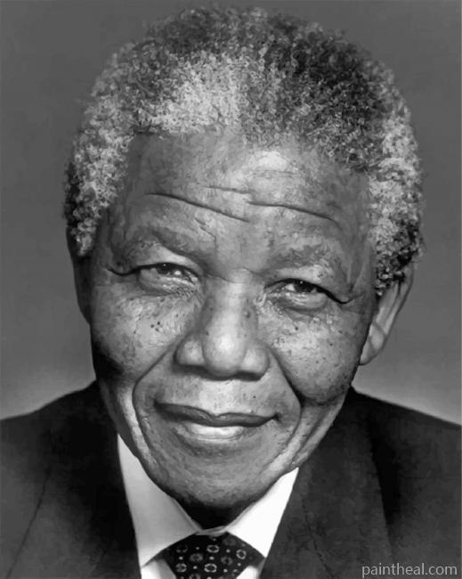 The President Nelson Mandela Painting By Numbers Kits