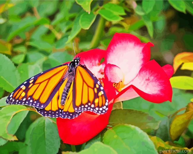 Beautiful Rose And Butterfly Painting By Numbers Kits