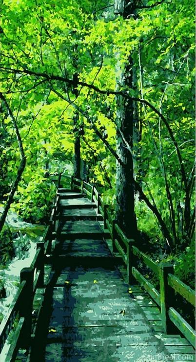 Bridge Into Green Forest Painting By Numbers Kits