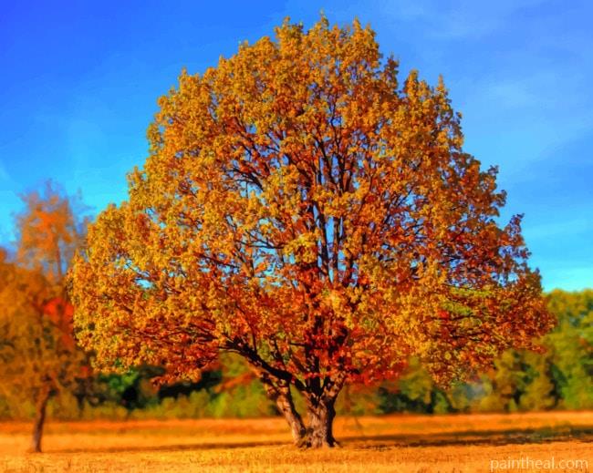 Yellow Tree Painting By Numbers Kits