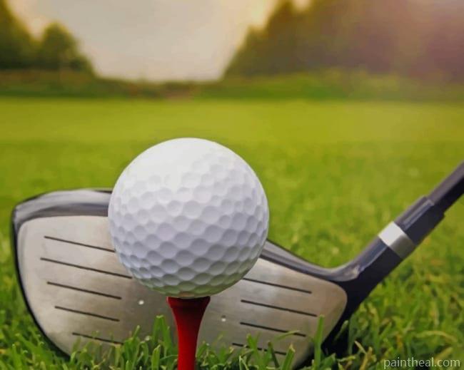 Golf Ball And Stick Painting By Numbers Kits