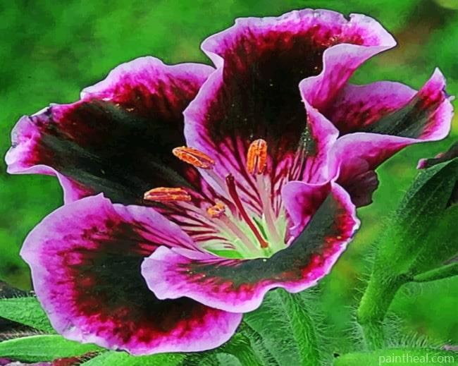 Purple Flower Painting By Numbers Kits