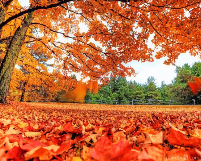 Beautiful Fall Leaves NEW Painting By Numbers Kits