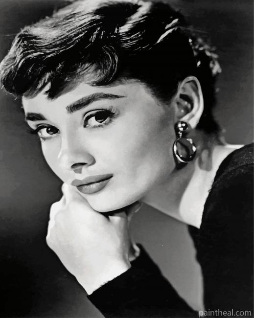 Monochrome Audrey Hepburn Painting By Numbers Kits