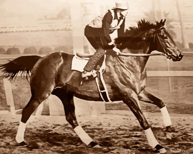 Race Horse Seabiscuit Painting By Numbers Kits