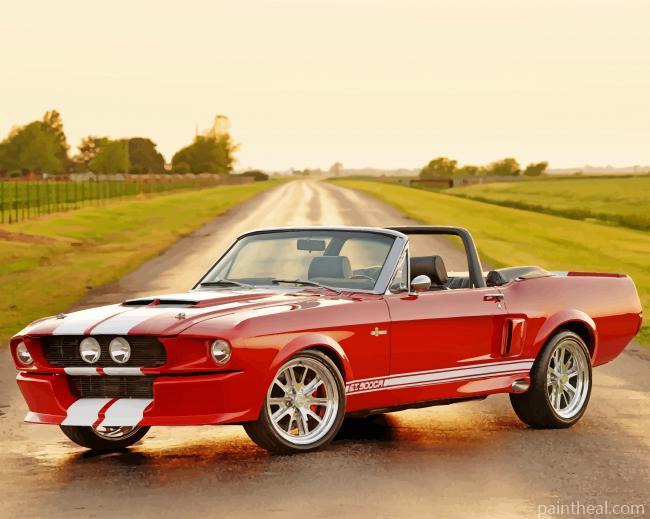 Vintage Ford GT 500 Painting By Numbers Kits
