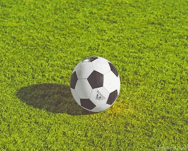 White And Black Soccer Ball Painting By Numbers Kits