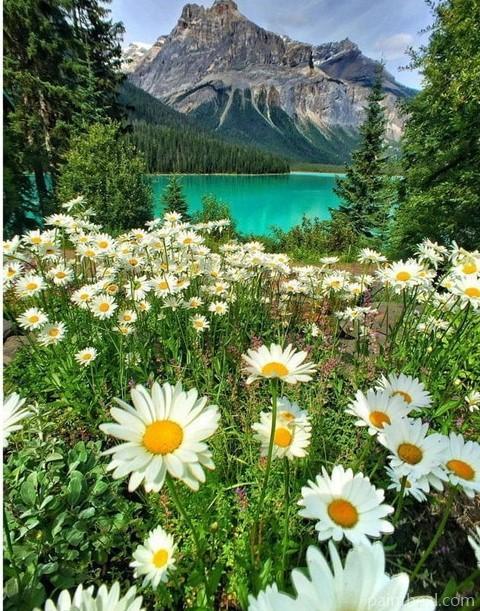 Emerald Lake Landscape Painting By Numbers Kits