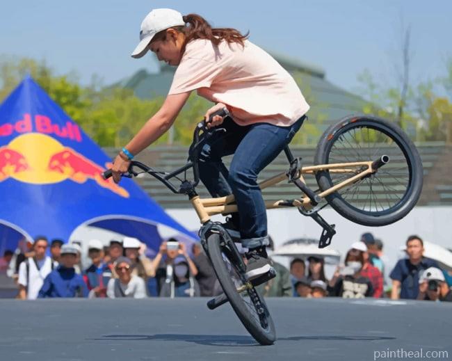 BMX Freestyle Trick Painting By Numbers Kits