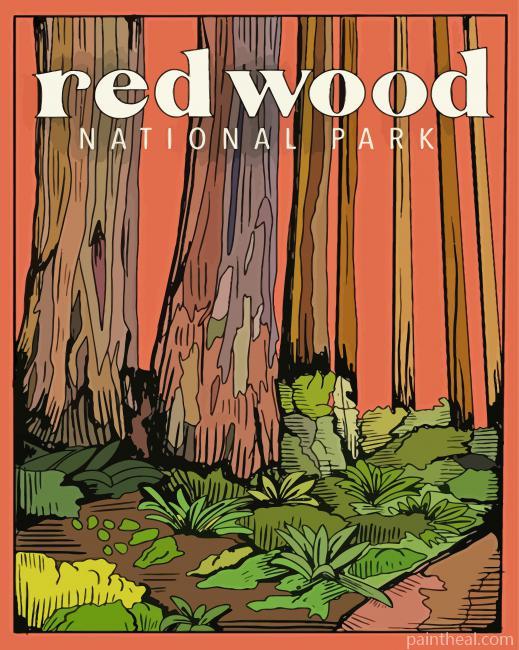 Redwoods National Park Poster Painting By Numbers Kits