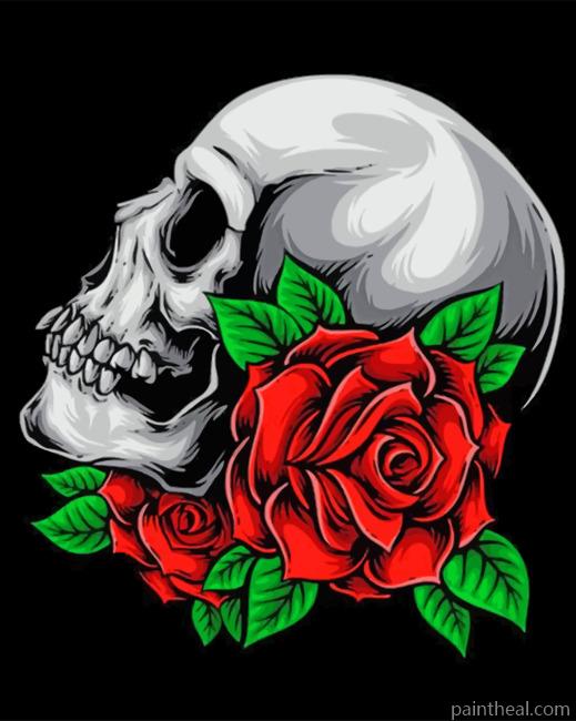 Skull And Rose Painting By Numbers Kits