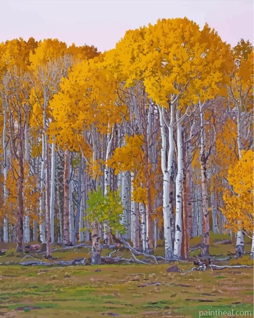 Birch Trees Painting By Numbers Kits