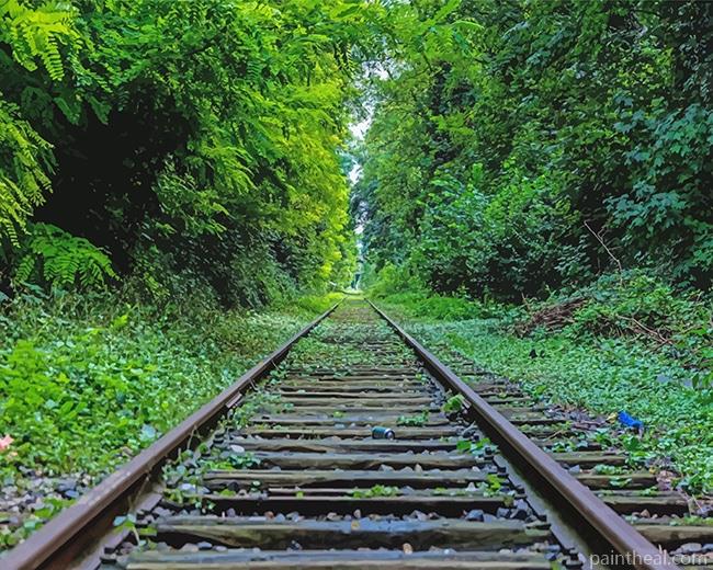 Train Rail NEW Painting By Numbers Kits