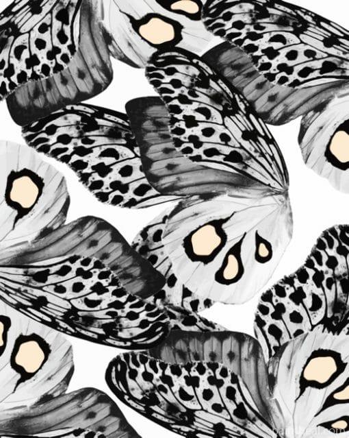 Black And White Butterflies – 5D Diamond Paintings Painting By Numbers Kits