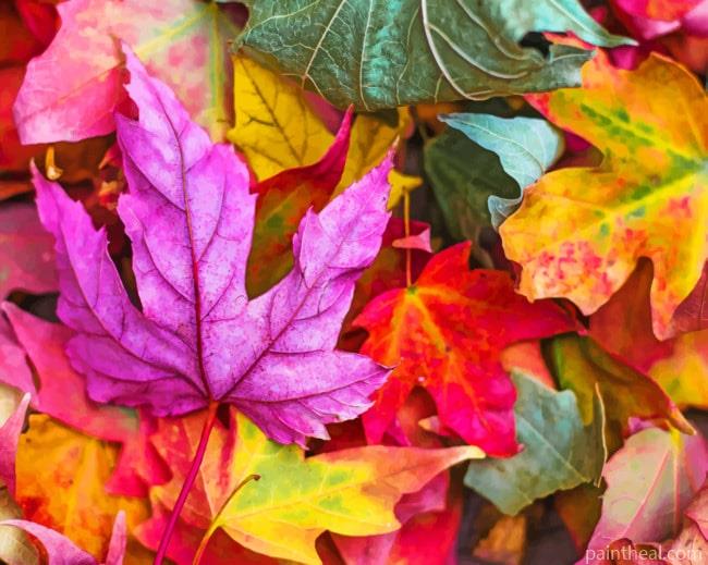 Colorful Leaves Painting By Numbers Kits