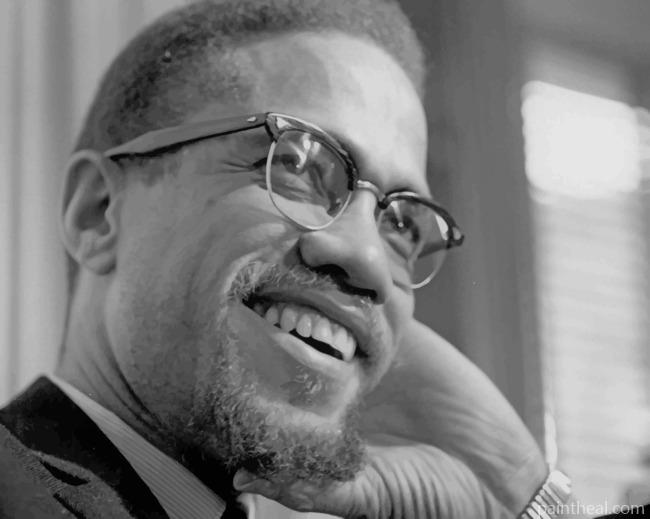 Malcom X American Minister Painting By Numbers Kits