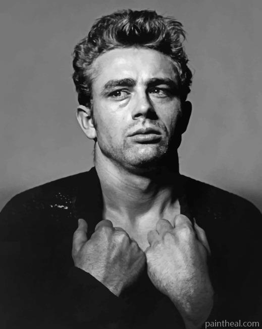 Black And White James Dean Painting By Numbers Kits
