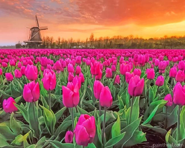 Purple Tulips Field Painting By Numbers Kits