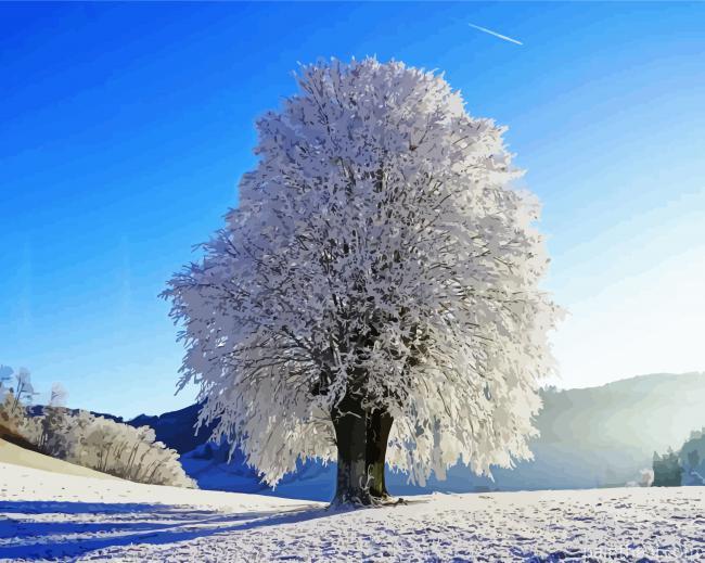Winter Tree Snow Painting By Numbers Kits