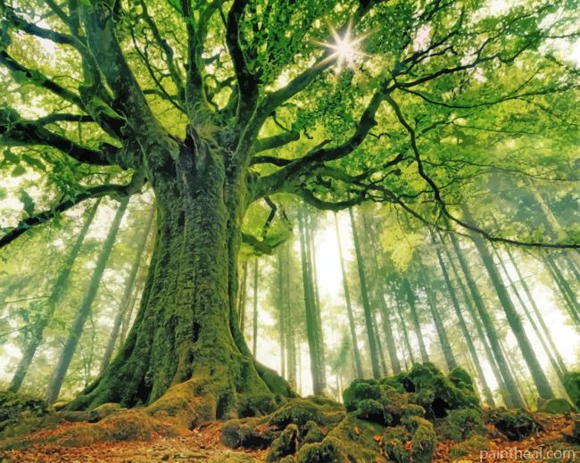 Green Forest Tree Painting By Numbers Kits