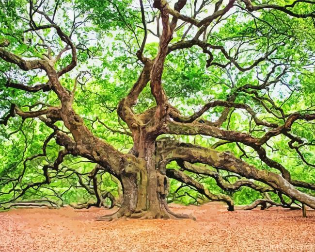 Oak Tree Painting By Numbers Kits