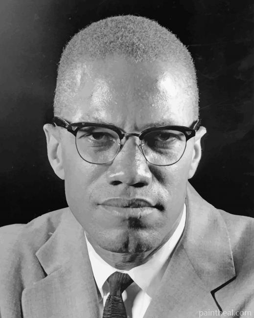 Malcolm X Black And White Painting By Numbers Kits