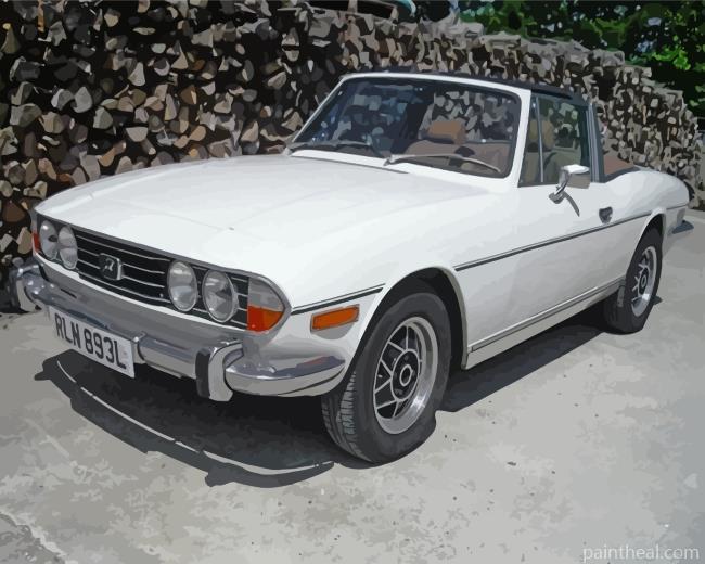 White Triumph Stag Painting By Numbers Kits