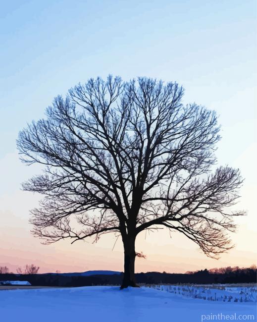 Winter Tree Painting By Numbers Kits