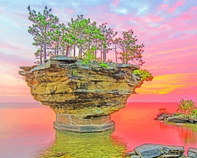 Turnip Rock Painting By Numbers Kits