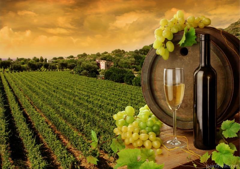 Wine Field Landscape Painting By Numbers Kits