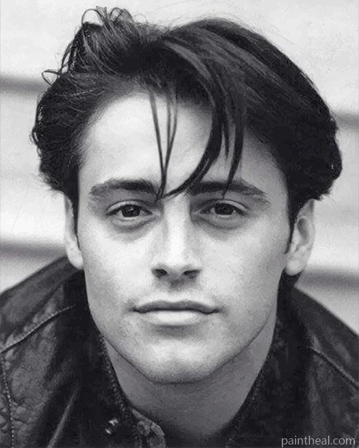 Black And White Joey Tribbiani Painting By Numbers Kits
