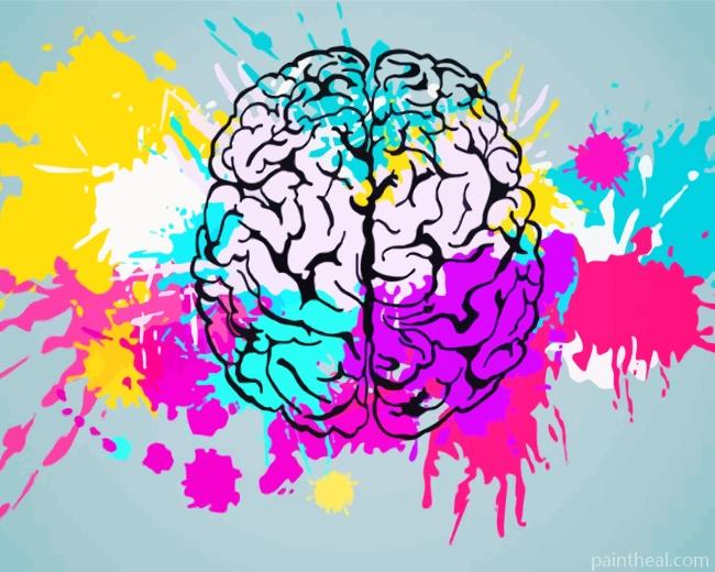 Colorful Splash Human Brain Painting By Numbers Kits