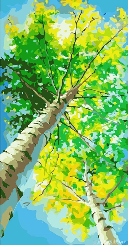 Looking Up At Trees Painting By Numbers Kits
