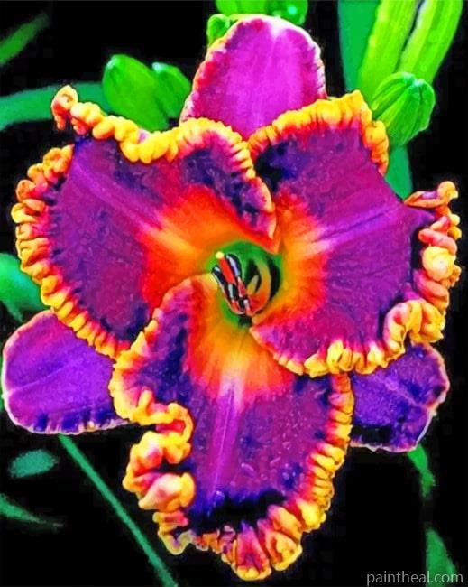 Daylilie Flower Painting By Numbers Kits