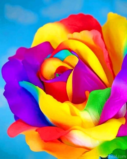 Rainbow Rose Painting By Numbers Kits