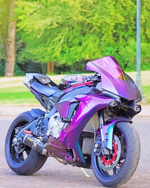 Purple Motorcycle NEW Painting By Numbers Kits