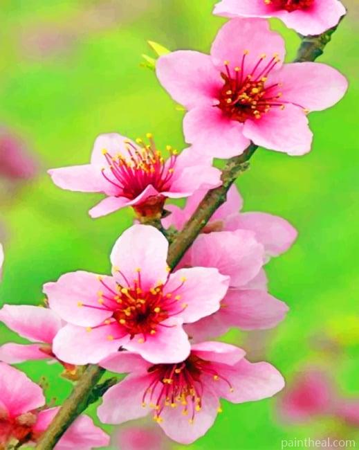 Delaware State Flower Painting By Numbers Kits