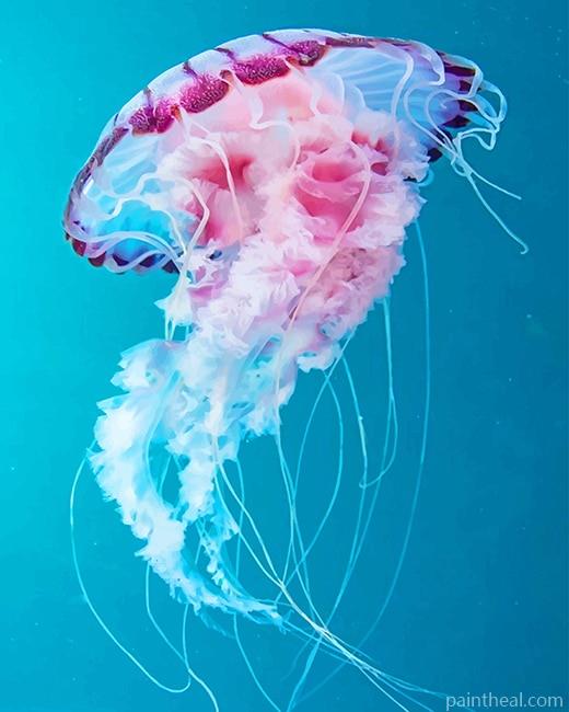 Pink Jellyfish Painting By Numbers Kits