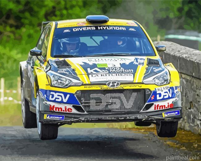 Donegal Rally Race Painting By Numbers Kits