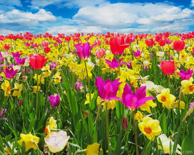Colorful Tulips Field Painting By Numbers Kits