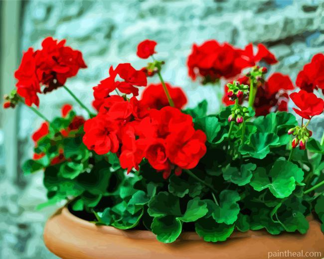 Aesthetic Geraniums Flowers Painting By Numbers Kits