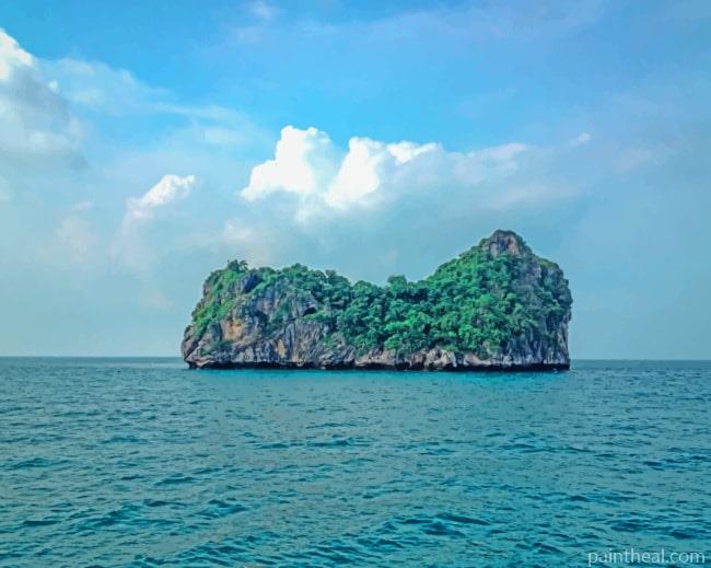 Island In The Middle Of The Sea Painting By Numbers Kits