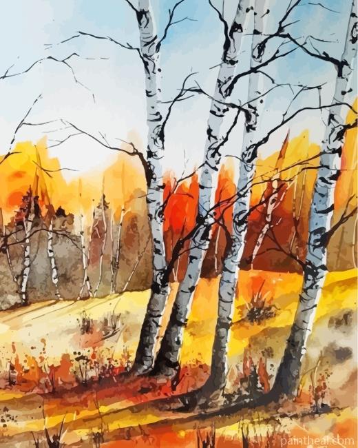 Birch Trees Forest Painting By Numbers Kits