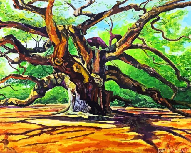 Angel Oak Tree Art Painting By Numbers Kits