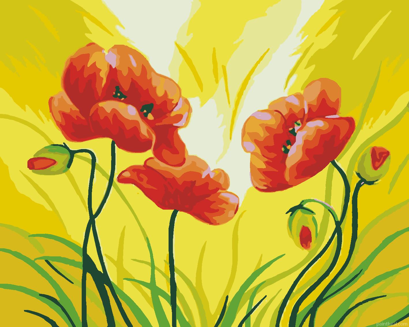 Spring Poppy Flowers Painting By Numbers Kits