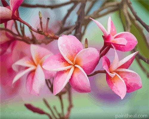 Pink Plumeria Painting By Numbers Kits